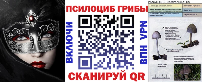 Купить закладки Вихоревка Псилоцибиновые грибы MAGIC MUSHROOMS